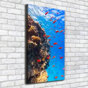 Imprimare tablou canvas recif de corali