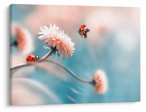 Tablou - Buburuze pe floare (70x50 cm)