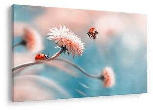 Tablou - Buburuze pe floare (90x60 cm)