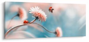 Tablou - Buburuze pe floare (120x50 cm)