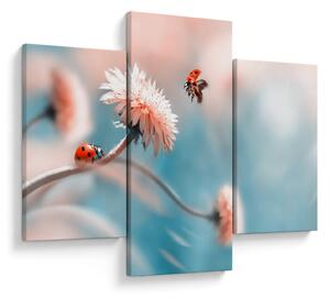 Tablou - Buburuze pe floare (90x60 cm)