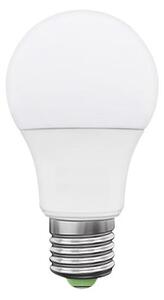 LED Bec LEDSTAR ECO E27/10W/230V