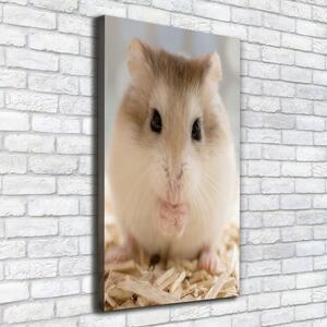 Imprimare tablou canvas Hamster