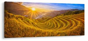 Tablou - Terasele de orez din Vietnam (120x50 cm)