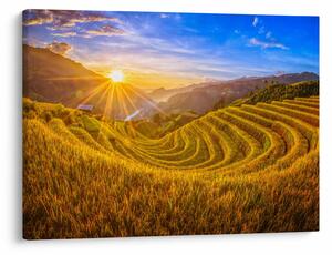Tablou - Terasele de orez din Vietnam (70x50 cm)