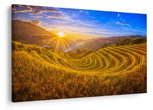 Tablou - Terasele de orez din Vietnam (90x60 cm)