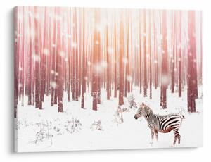 Tablou - Zebra în pădurea înzăpezită (70x50 cm)