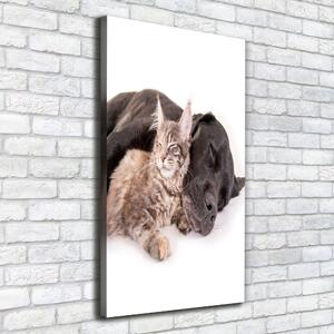 Tablou canvas Câine și pisică