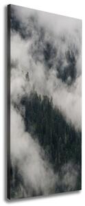 Tablou pe pânză canvas Cloud peste pădure