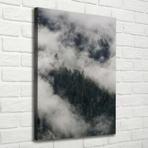 Tablou pe pânză canvas Cloud peste pădure