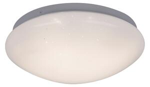 Rabalux 3936 - Plafonieră LED LUCAS LED/12W/230V