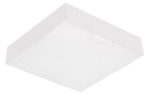 Emithor 63215 - Plafonieră LED SURFACE/10W/230V