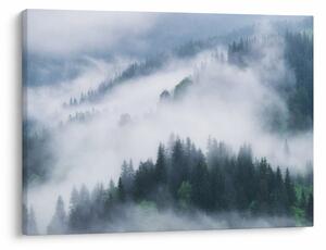 Tablou - Copacii în ceață (70x50 cm)