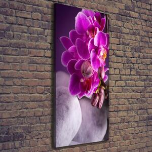 Tablouri tipărite pe pânză orhidee roz
