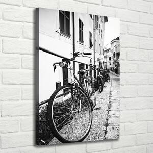 Tablou canvas biciclete urbane