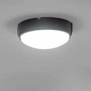 Brilagi - Plafonieră industrială LED SIMA LED/12W/230V IP65 negru