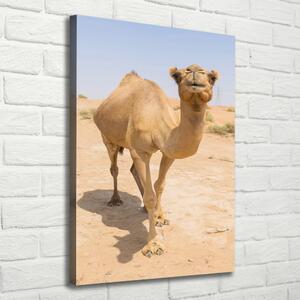 Pictură pe pânză Camel în deșert