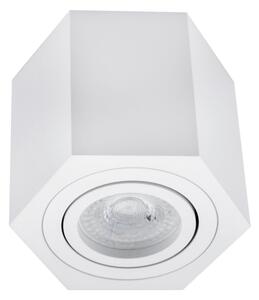 Lampă spot ARENO 1xGU10/30W/230V alb