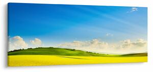 Tablou - Cerul de primăvară (120x50 cm)