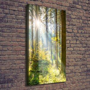 Tablou pe pânză canvas Soare în pădure