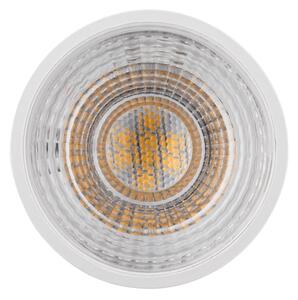 LED Dimming Flood Light Bulb GU5.3/6,5W/12V 2700K – Paulmann 28758
