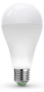 Bec LED LEDSTAR ECO A65 E27/20W/230V 4000K