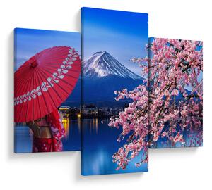 Tablou - cu privire la munte - Japonia (90x60 cm)
