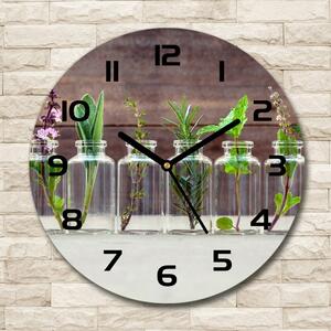 Ceas de sticlă pe perete rotund Plantele în borcane