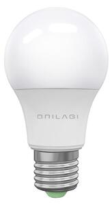 Bec LED ECOLINE A60 E27/15W/230V 6500K Brilagi