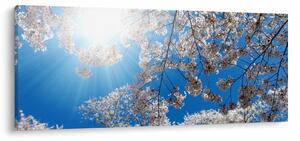 Tablou - Flori de cireș (120x50 cm)
