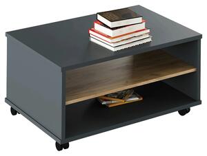 Masuta cafea RIOMA NEW TYP 32, gri grafit/stejar artisan, DTD laminat