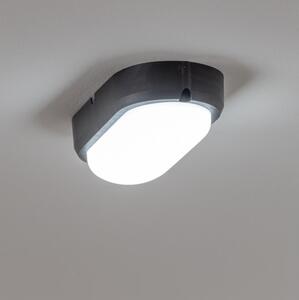 Brilagi - Plafonieră industrială LED SIMA LED/12W/230V IP65 negru