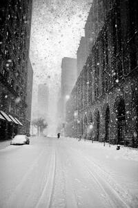 Fotografie New York Walker in Blizzard, Martin Froyda