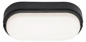 Plafonieră LED de exterior HORT LED/15W/230V IP54 negru Rabalux 7409