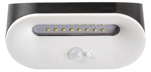 Corp de iluminat LED solar cu senzor BREZNO LED/3,2W/3,7V IP44 Rabalux 77006