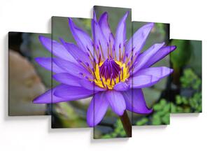 Tablou - Floare violet (150x105 cm)
