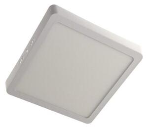 Plafonieră LED GERRY LED/12W/230V 3000K alb