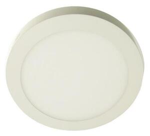 Plafonieră LED GERRIT LED/24W/230V 6500K alb