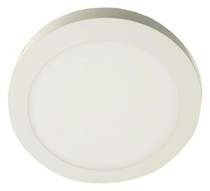 Plafonieră LED GERRIT LED/12W/230V 3000K alb