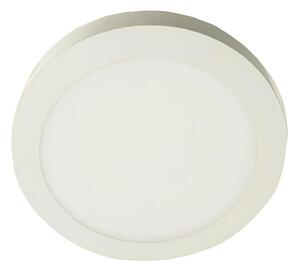 Plafonieră LED GERRIT LED/12W/230V 4000K alb