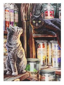 Tablou canvas pisicuta, Magical Emporium 19x25cm - Lisa Parker