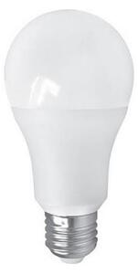 Bec LED PITT A60 AC/DC E27/12W/24V 4000K