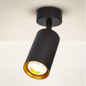 Spot Brilagi SELE 1xGU10/30W/230V negru/auriu