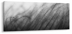 Tablou - Iarba în vânt (120x50 cm)