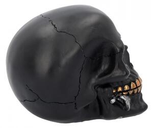 Statueta craniu negru Un trandafir de dincolo de moarte 15 cm