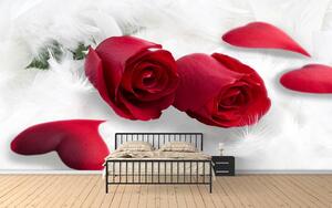 Fototapete, Trandafiri rosii Art.01202