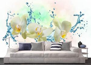 Fototapete, Orhideea albe si stropii de apa Art.01170