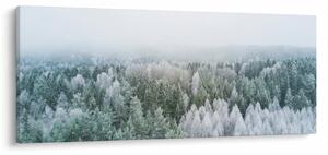 Tablou - Crestele munțillor înzăpezite (120x50 cm)