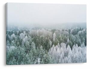 Tablou - Crestele munțillor înzăpezite (70x50 cm)