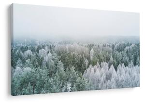 Tablou - Crestele munțillor înzăpezite (90x60 cm)